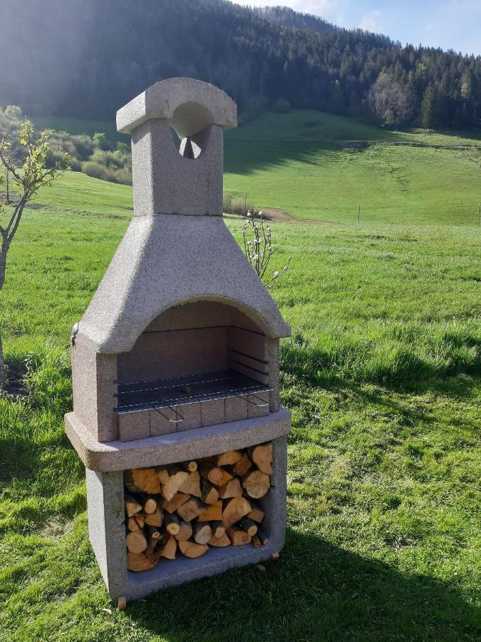 Willa Studio Alpika Luče Zewnętrze zdjęcie