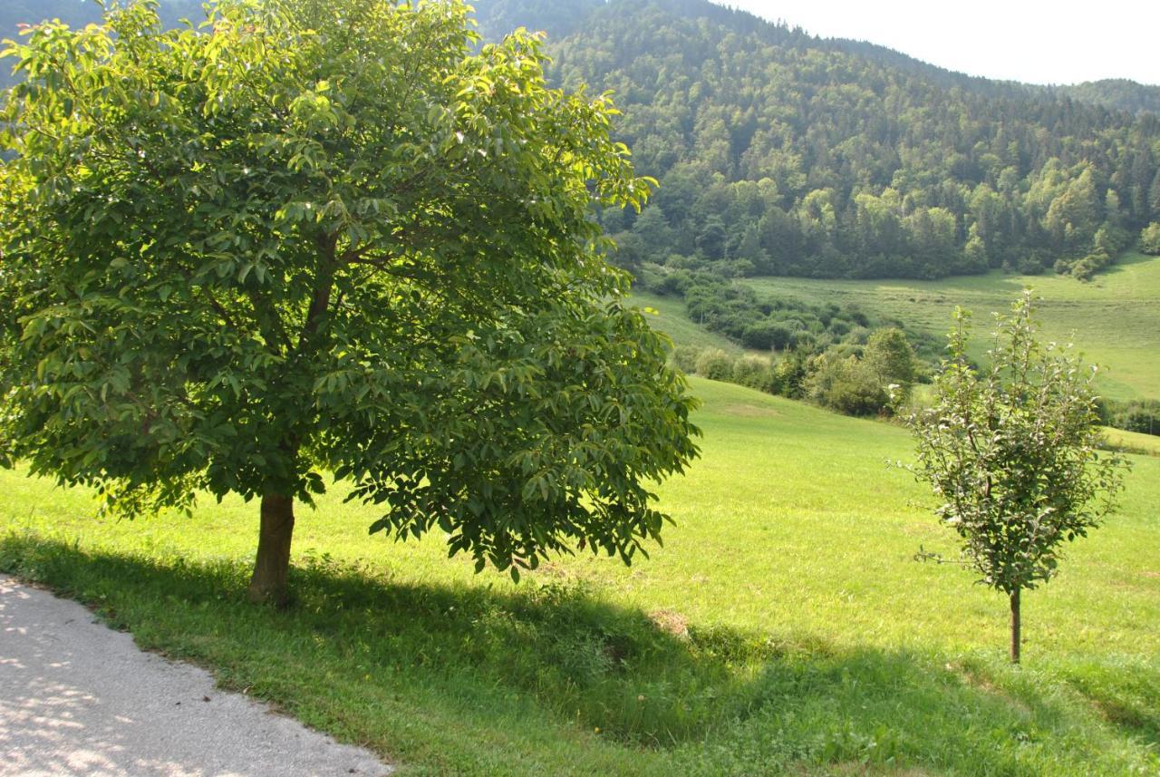 Willa Studio Alpika Luče Zewnętrze zdjęcie