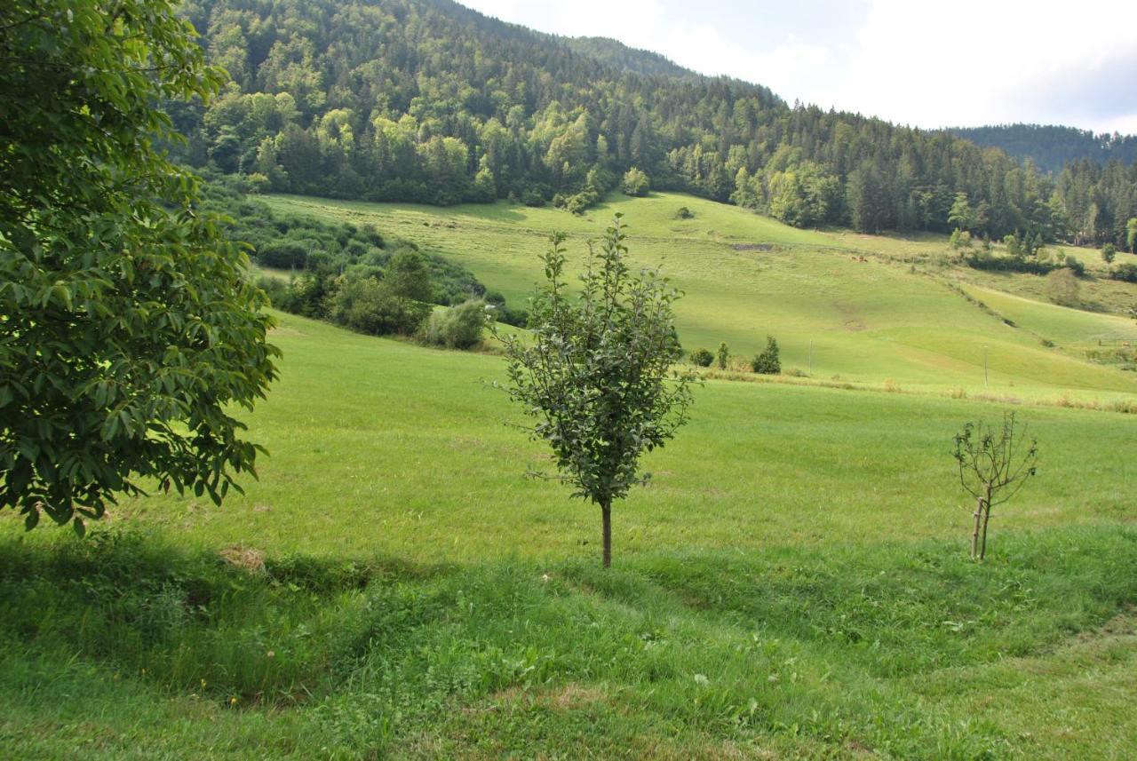 Willa Studio Alpika Luče Zewnętrze zdjęcie